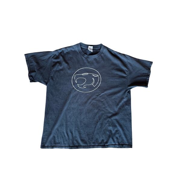Vintage ‘05 Thundercats Faded Black XL Delta Pro Weight T-Shirt - Picture 1 of 7